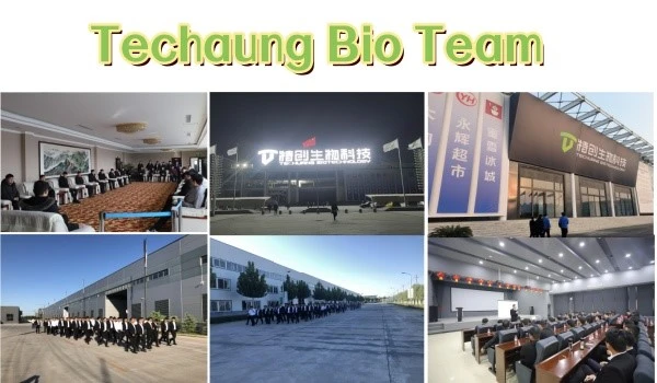 product-600-350